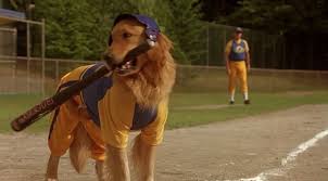 The whole 14 air bud movie universe in trailers,entire airbud series:air bud (1997)air bud: The Air Bud Plausibility Rankings The Ringer