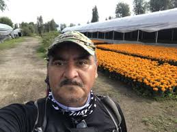 The Best Hiking Trails in Miguel Hidalgo