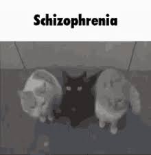 Symptoms in schizophrenia gifs, reaction gifs, cat gifs, and so much more. Schizophrenia Gifs Tenor