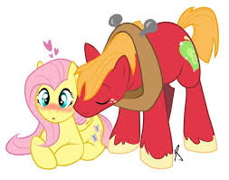Fluttershy X Big Macintosh Mlp My Little Pony Big Macintosh Pony