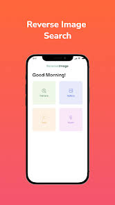 Reverse Image Search