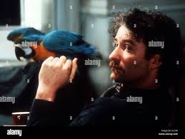 Pat o hi-res stock photography and images