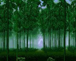 Unknown Bamboo Forest Pixel Scenery Animated Pictures Background