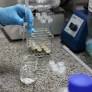 Brazil Unveils Decade-Long National Strategy to Boost Science and Innovation