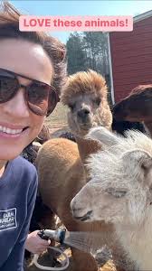So much fun being among the alpacas and llama at Hardly Farm LLC.!