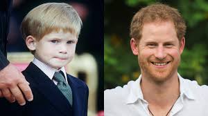 Jun 27, 2021 · prince harry, 36, reportedly met up with some american pals whom he met years ago while undergoing military training in the united states. Prince Harry Has Grown Up Before Our Very Eyes See Him Age Through The Years