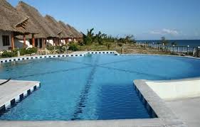 A Beautiful Pool In Kizimkazi Zanzibar Swimming With The Dolphins Is The Real Thing In Zanzibar Building A Pool Swimming Pools Beautiful Pools