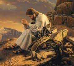 We did not find results for: Jesus Departs From Capernaum Daily Prayers