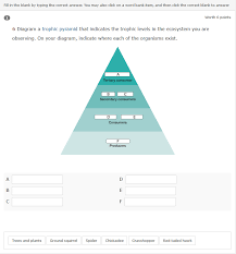 Check spelling or type a new query. Solved Fill In The Blank By Typing The Correct Answer Yo Chegg Com