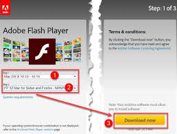 Program for running many formats of video in games and on the web. Best Flash Players For Mac In 12222