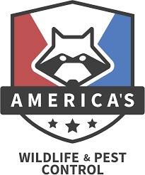 98.3% available in miamisburg, oh. Top 10 Best Pest Exterminators In Dayton Oh Angi