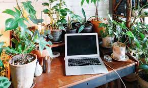 Sep 20, 2018 · 1. 9 Things You Can Do To Make Working From Home More Joyful