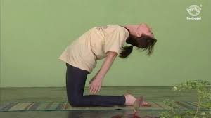 Yoga Is The Physical Mental And Spiritual Practices Or Disciplines Which Originated In Ancient India With A Vi Beginner Yoga Workout Yoga Spiritual Practices
