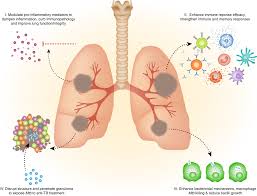 Mucosal Immunology