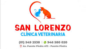 Clinica Veterinaria San Lorenzo
