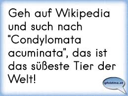 Ich Hab Die Susseste Freundin Der Welt Osterreichische Spruche Und Zitate