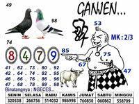 Syairtogel Nagamas Sydney 19 Agustus 2019 19 Agustus Buku Gambar Sydney