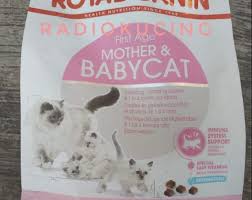 Makanan kucing yang mengandung taurin menambah tingkat manfaat tambahan untuk diet kucing anda. 6 Makanan Kucing Persia Yang Bagus Untuk Bulu Dan Bernutrisi Lazuva Com Tempat Wisata Indonesia Pariwisata Indonesia