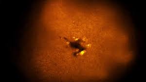 @heavy_bondages video Tweet