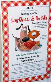 Vitamin d is important for maintaining a healthy body, primarily because it helps you fully maximize your body's absorption and utilization of calcium, an important mineral that we all need. Spayghetti Spayghetti No Balls Dinner For Pet Health Preneur D Image Flickr