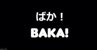 Imagen De Baka Japanese And Japan Japanese Quotes Japanese Words Japanese Phrases