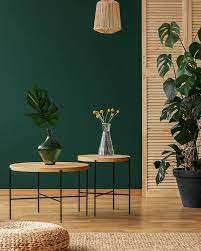 34 Fabulous Green Interior Decoration Ideas To Wow Fancy Ideas About Everything Green Interior Decor Green Interiors Living Room Green