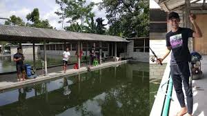 Cerita Stopper Sriwijaya Fc Obet Choiri Dapat Ikan Gurami Seberat 1 Kilogram Lebih Di Kolam Temannya Sriwijaya Post