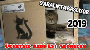 Ucretsiz Kedi Evi Adore Mobilyadan Kedievimadoreden Youtube