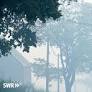 Massive Forest Fires in Belgium’s Hohes Venn Threaten German Border Regions