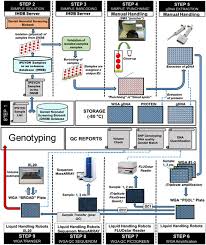 Female celebrities that first name starts with j. The Ipsych2012 Case Cohort Sample New Directions For Unravelling Genetic And Environmental Architectures Of Severe Mental Disorders Molecular Psychiatry