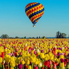 Sean On Instagram Rise Hot Air Balloon Wooden Shoe Tulip Farm Oregon Was Lucky To Look Up From Shooting The Tulips Hot Air Balloon Air Balloon Hot Air