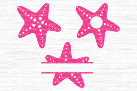 Download Starfish Svg Starfish Cut File Starfish Clipart Sea Star Vector By Magicartlab Thehungryjpeg Com