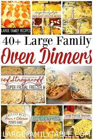 Salsa Verde Chicken Enchiladas Cheap Family Meals Large Family Meals Big Family Meals