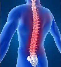 Restez suspendu.e ainsi le plus longtemps possible. Protegez Votre Dos Exercices De Decompression Vertebrale Lepape Info