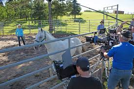 Check spelling or type a new query. Heartland Marks Decade Milestone Okotokstoday Ca