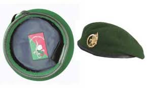 Image result for World Foreign Legions