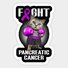 The beta cells primarily make and secrete insulin, which has a variety of effects in the body, the primary one being to regulate glucose throughout the body's cells. F Ght Pancreatic Cancer Purple Boxing Cat Pancreatic Cancer Awareness Autocollant Teepublic Fr