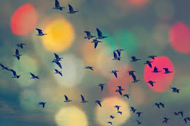 Birds Flying In The Sky Cartoon Birds Flying And Abstract Sky Spring Background Abstract Happy Background Freed Sponsored Sky Spr Spring Background Freedom Bird Birds Flying
