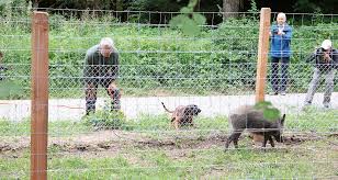 We did not find results for: A L Ecole Du Sanglier Chasse Et Nature