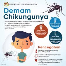 Gejala dan tanda demam zika yang umum termasuk. Media Selangor Infokini Demam Chikungunya Demam Facebook