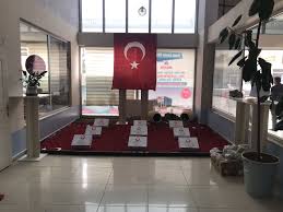 ceyhan adli kullanicinin canakkale zaferi panosundaki pin