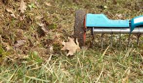 If you're in need of tool rental in the baldwin county, al. Renting A Core Aerator For Your Lawn Crate And Basket
