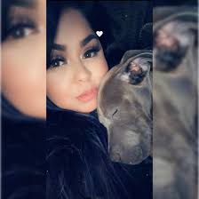 Hot honey chicken tenders