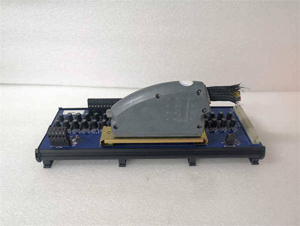 T8830 ICS TRIPLEX 40 通道模拟量输入现场端子组件(FTA) - XINYEDA