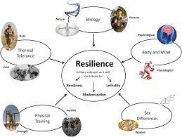 The national exams are held on the 6th week. Perspectives On Resilience For Military Readiness And Preparedness Report Of An International Military Physiology Roundtable Journal Of Science And Medicine In Sport
