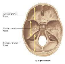 What Do Grossly Unremarkable Suprahyoids Mean Quora