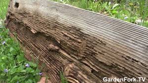 Maybe you would like to learn more about one of these? Pressure Treated Wood For Raised Beds Gf Video Gardenfork Eclectic Diy
