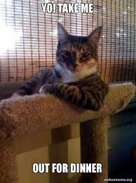 Yo Take Me Out For Dinner The Most Interesting Cat In The World Make A Meme