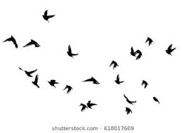 Two Birds Flying In The Sky Drawing Flying Birds In The Sky Vector Birds Flying Birds In The Sky Sky Photoshop