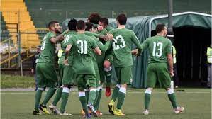 Avellino torna nel calcio che conta! Classifica Avellino Calcio